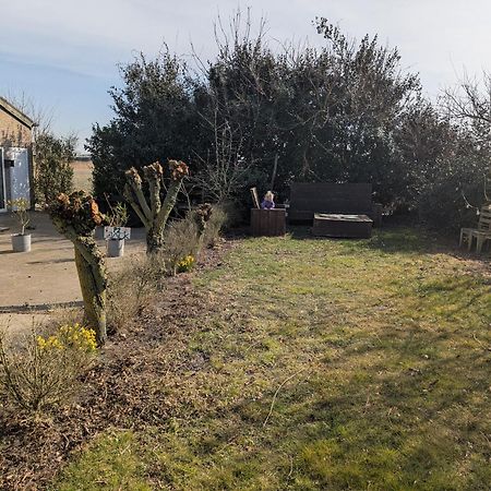 Villa The Tulip Julia Julianadorp Εξωτερικό φωτογραφία