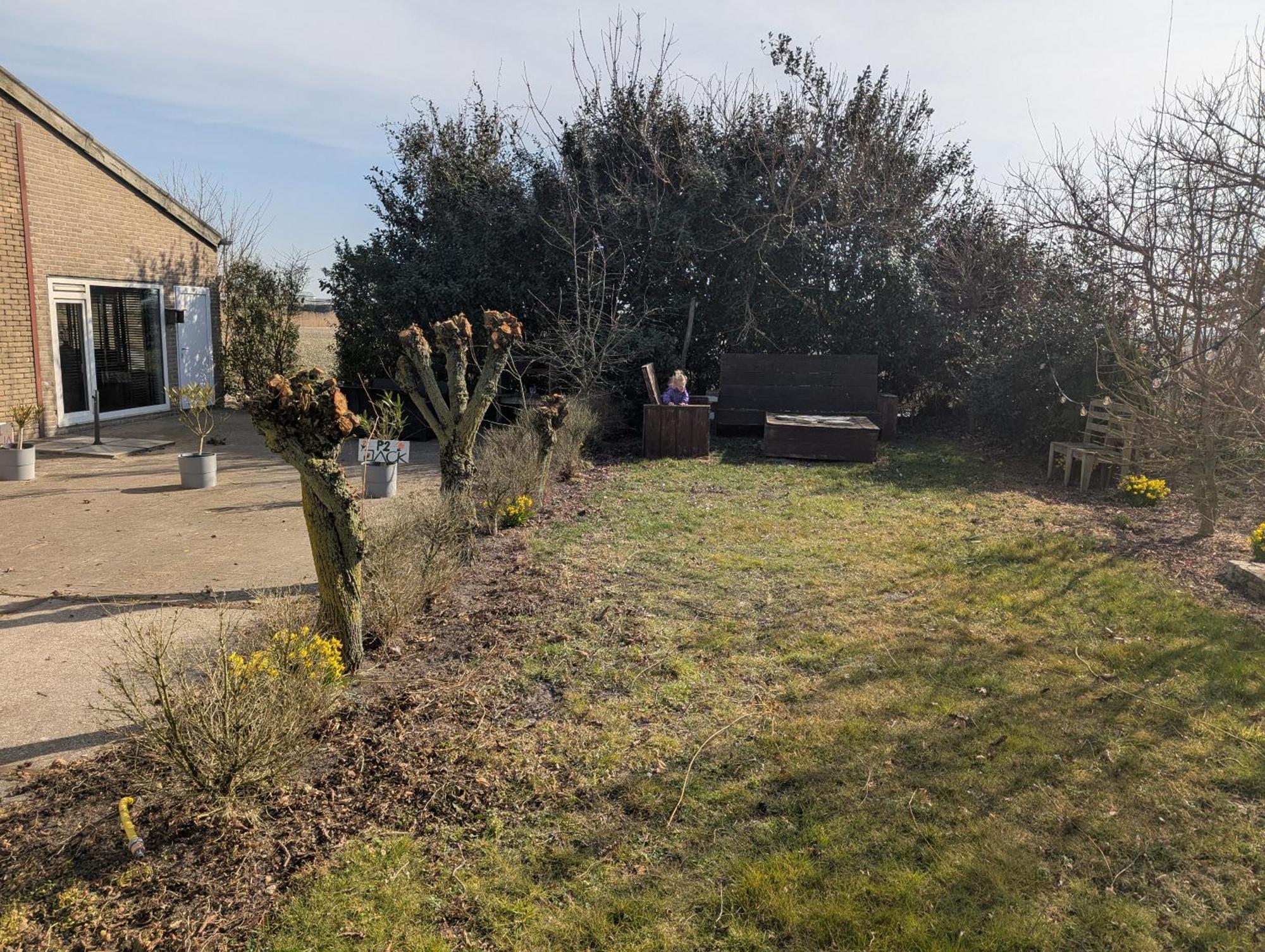 Villa The Tulip Julia Julianadorp Εξωτερικό φωτογραφία